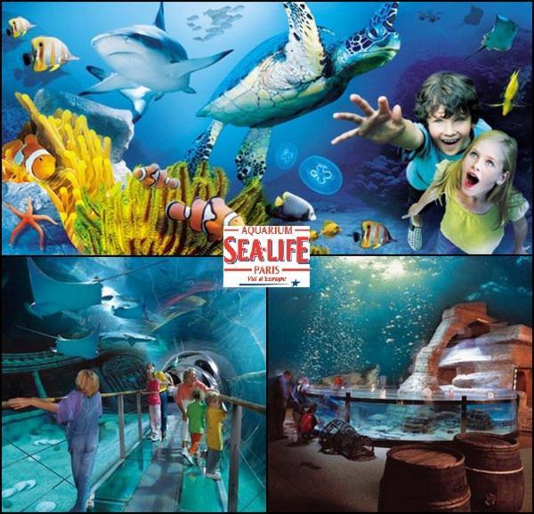 Disneyland Paris 6 Pers- Wifi - Disney Tv Wifi, Parking Chessy  Εξωτερικό φωτογραφία